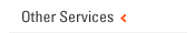 Other Services